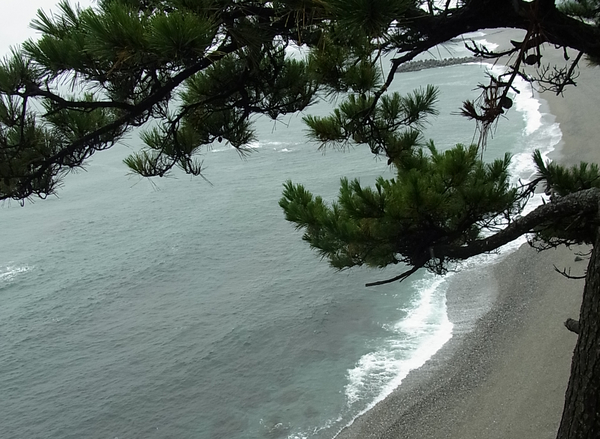 JAPAN NATURE ブログ 荒木技研工業